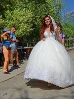 Here Comes The Bride